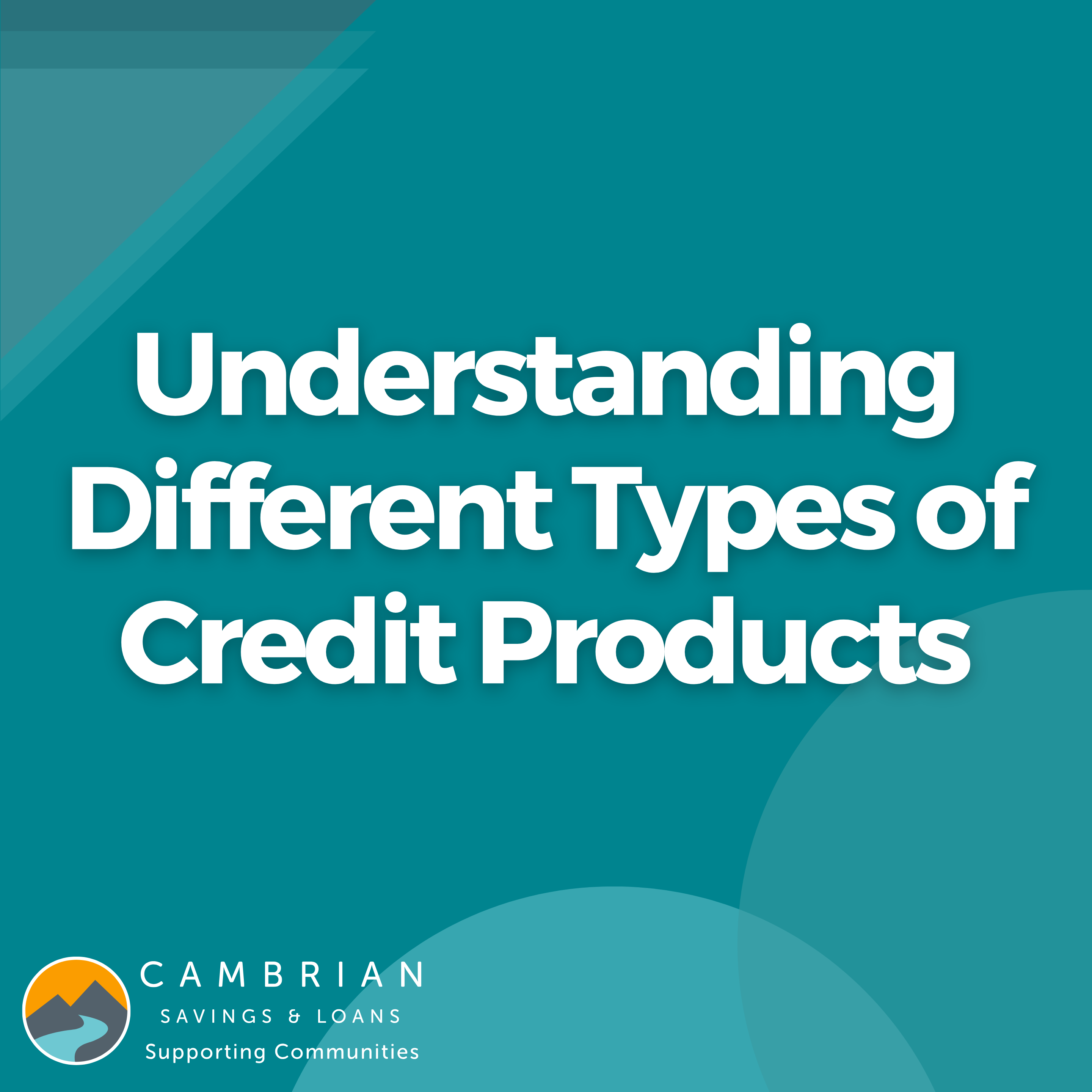 Need to Borrow Money? Comparing Payday Loans, BNPL and Credit Union Loans