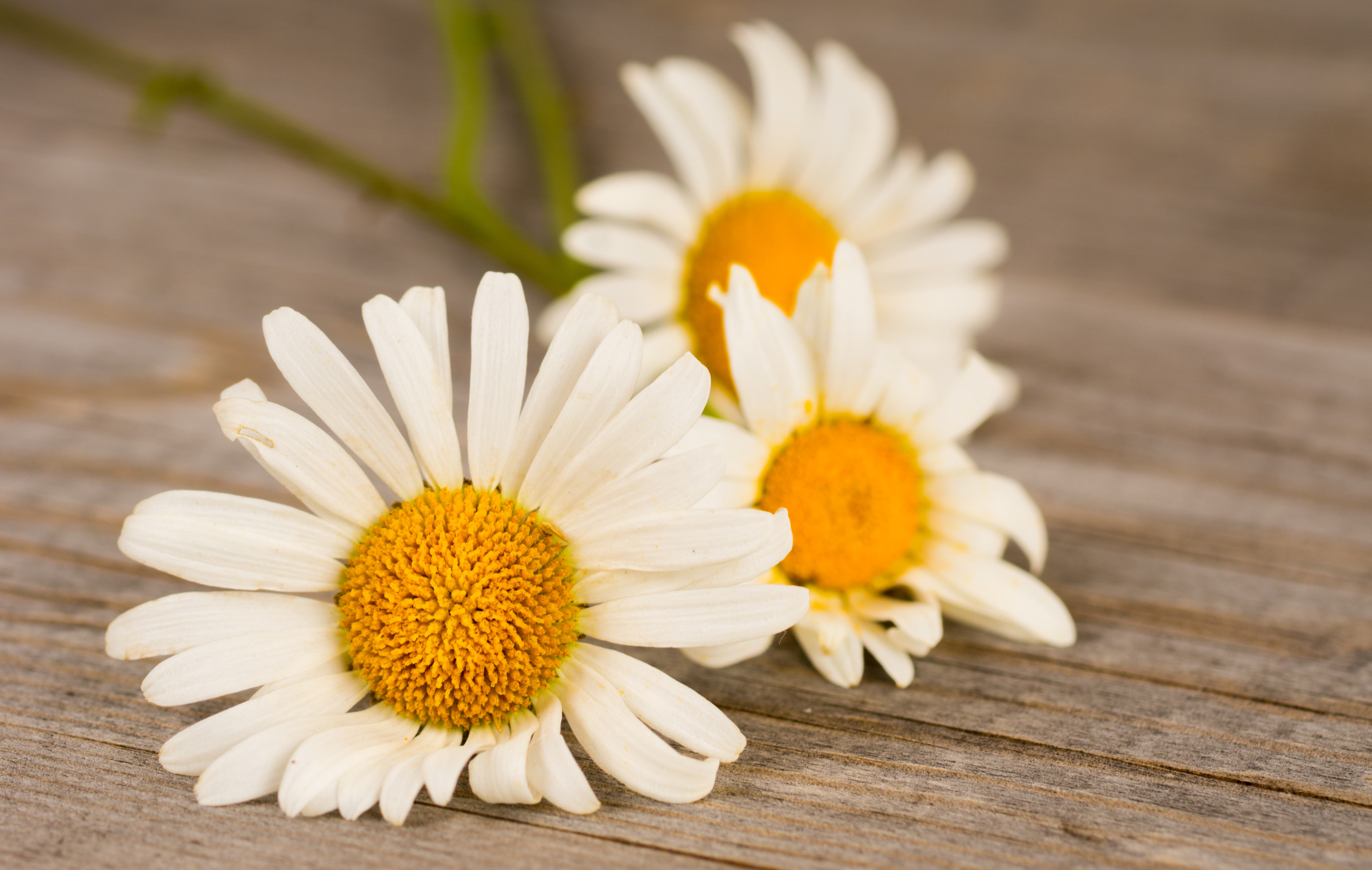 May Bank Holiday Trading Hours