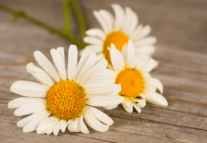 May Bank Holiday Trading Hours