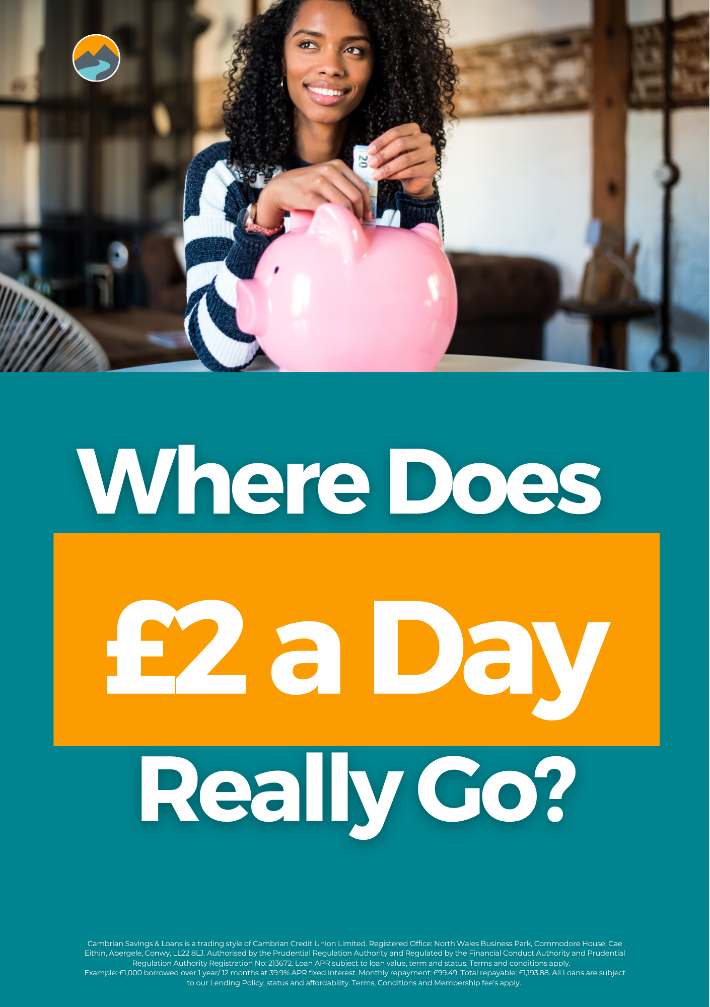 Where Does £2 a Day Really Go?