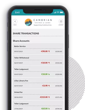 View Account Balances and Transactions