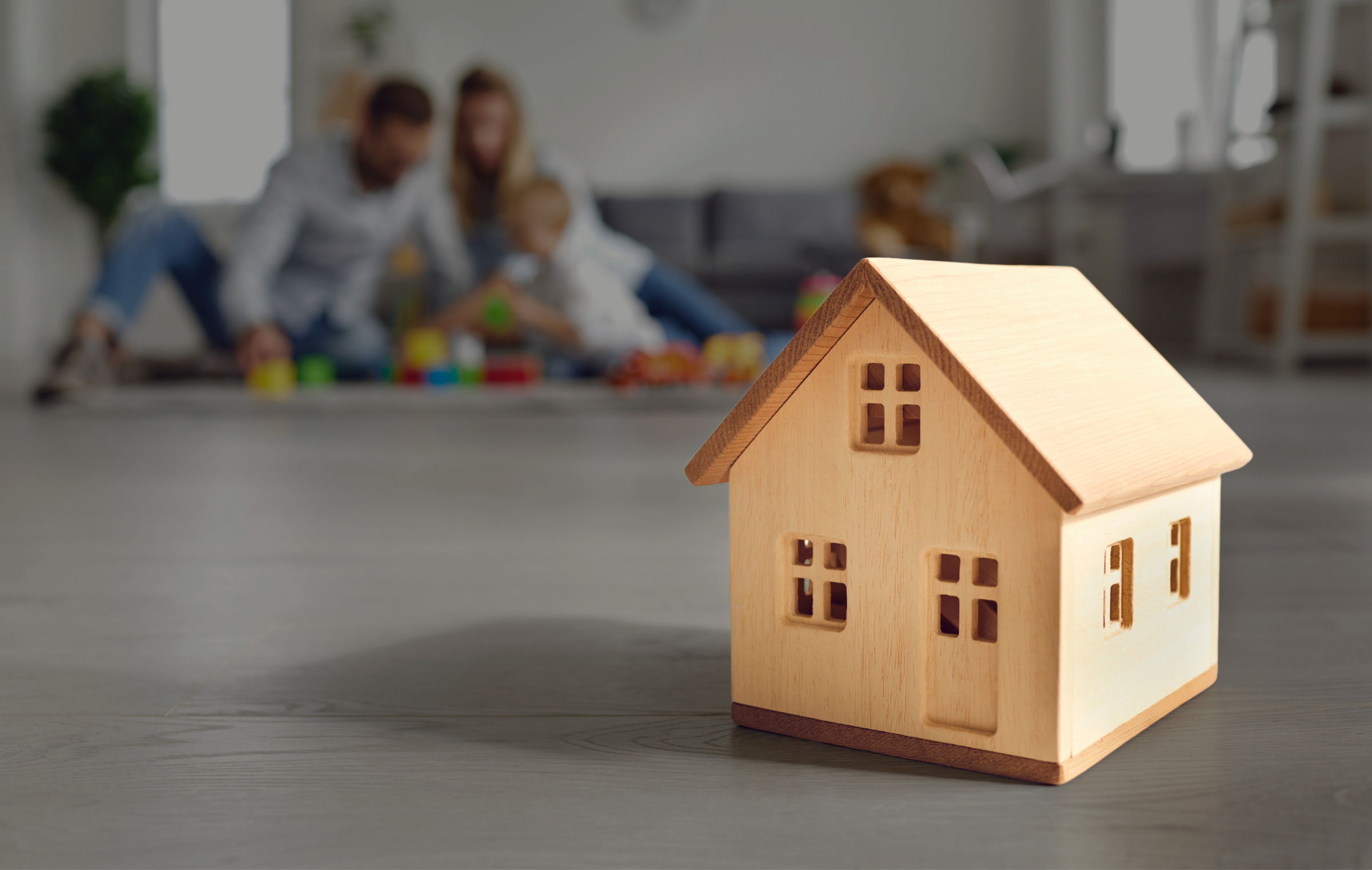 Homeowner Loan